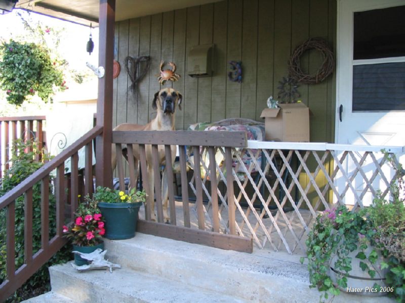 Marm-on-porch
