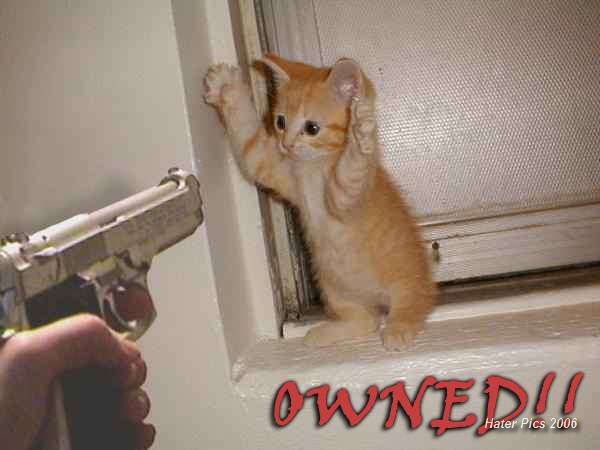 catowned