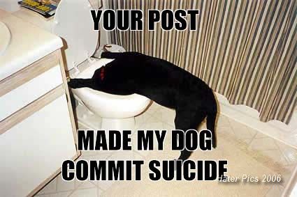 suidog